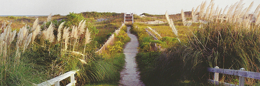 Sunset Beach Path