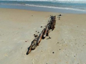 Hurricane-Sandy-Unearths-Shipwreck