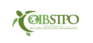 Ocean Isle Beach Sea Turtle Protection Organization