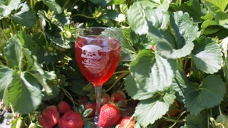 Strawberry and Wine Festival