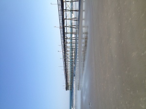 Sunset Beach Rules and Regulations