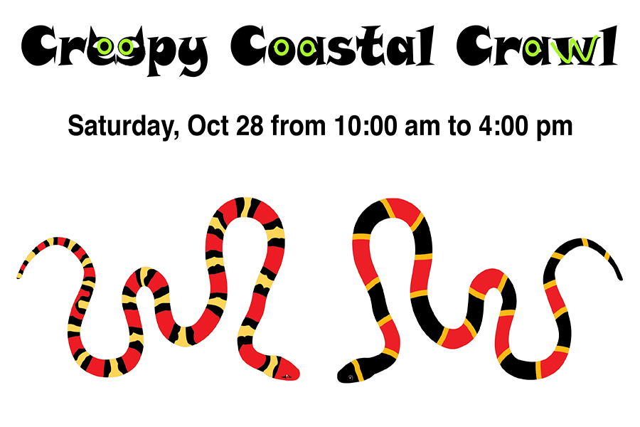 Creepy-Coastal-Crawl at Museum