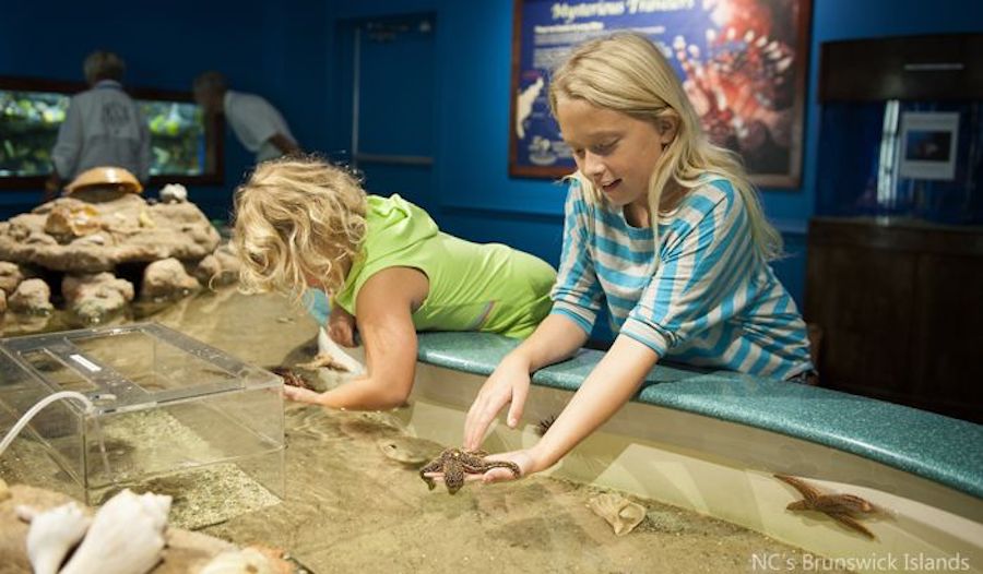 The Museum of Coastal Carolina’s fall schedule goes into full swing with new a new Habitat Hop program, the return of its popular Sea Tales program and Live Touch Tank Feedings. The Museum of Coastal Carolina shifts to a Thursday through Saturday schedule beginning Aug. 25.  Here's a complete breakdown of what’s on the schedule at the Museum through the month of September: Touch Tank Feeding Friday at 11 a.m.  With staff and trained volunteer assistance, gently touch the sea creatures living in the Museum’s Touch Tank and watch trained volunteers feed the animals. Sea Tales Thursday at 11 a.m.  Listen to stories starring animals or exhibits displayed at the Museum and complete interactive crafts or science activities based on each story: Aug. 28 – See You Later Alligator by Sally Hopgood - A departing tortoise has his bags packed and is almost ready to set out on an adventure, but he can’t leave until he says good-bye to each of his animal friends. The tortoise stops for every last timid mouse and bumblebee, shouting his rhyming good-byes, making you wonder if, perhaps, he’s stalling the start of his trip. His animal friends appear startled as he suddenly pops up on each page to say adieu—especially the perplexed rhinoceros the tortoise mistakes for a unicorn! With each farewell, the tortoise’s good-byes get sillier and more creative. When will the goodbyes end and the adventure begin? We will find out as we read this silly tale. After the story we will make our own tortoise craft. Sept. 4 – Whose Egg is That? by Darrin Lunde – This clever preschool page-turner pairs seven eggs with information about the animals’ survival mechanisms, asking kids to guess which animal laid which egg. Whose Egg Is That? reveals the animals--ranging from penguins to platypuses--in their own habitats. Discover the different sizes and shapes of bird eggs and make your own bird eggs and nest. Sept. 11 – Whose Footprint is That? by Darrin Lunde – This clever preschool page-turner pairs seven tracks with information about the animals’ locomotion, asking kids to guess which animal left which tracks behind. Whose Footprint Is That? reveals the animals--ranging from flamingos to kangaroos—in their own habitats. Learn all about animal tracks and use track stamps to make a fun craft. Sept. 18 – Whose Poop is That? by Darrin Lunde – Poop! Ewwww! No, don’t say “Ewwww.” Ask, “Whose poop is that?” This simple, and yes, charming book asks this question about seven examples of animal poop. By investigating visual clues, young readers can learn to identify the animal through its droppings. For instance, find a sample of poop with bits of bone and tufts of hair. Turn the page to learn it came from a fox! Investigate how scat is used to identify animals and make your own scat using scat ID guides. Sept. 25 – The Swamp Where the Gator Hides by Marianne Berkes – Under the algae that carpets the swamp, near the duck who paddles in ooze, close to the turtle who takes a snooze . . . hides a gator! Still as a log, only his watchful eyes can be seen. But when gator moves, he really moves! What happens to the duck, the turtle, the egret, the deer, and the many other critters of the swamp when gator makes his move? Search for the gator and get a glimpse of real life in a swamp as we read this tale and make an alligator craft. Habitat Hop Saturday at 11 a.m. Explore habitats found along the N.C. coast. Habitat Hop will feature a new habitat each month and a new species from that habitat each week. Visitors will participate in a series of interactive activities to learn more about plants and animals found in the swamp, deep sea, on the beach, and in their own backyard.   September Habitat: The Green Swamp The Green Swamp is a local nature preserve and longleaf pine savanna teeming with diverse wildlife. Explore unique species that call the Green Swamp home throughout the month of September.   Aug. 30 – Alligators – These somewhat fearsome reptiles can be found basking near ponds and streambanks. Learn about the life cycle of an alligator, investigate what alligators eat, and discover what makes them amazing predators and the important role they play in their environment. Sept. 6 – Frogs - Most amphibians start out living in the water and move onto land. Learn about the life cycle of amphibians and the adaptations they develop to live on land and in the water. Then, investigate the different sounds frogs use to communicate and learn how to differentiate their calls. Sept. 13 – Black Bears – What do black bears eat? What is hibernation? How big is a black bear’s track? Learn the answers to these questions and more about these amazing mammals. Sept. 20 – Carnivorous Plants – The Green Swamp is home to vast carnivorous plants including Venus flytraps, sundews, and pitcher plants. Learn all about these amazing plants and their unique adaptations and diet. Sept 27. – River Otters – What is the difference between a river otter and a sea otter? Discover the differences and learn all about the important role otters play in their environment.     The Museum of Coastal Carolina is located at 21 East Second Street in Ocean Isle Beach, NC. Admission is free for members. Non-member all-day admission effective March 31, 2022 is $10 for adults, $9 for seniors (62+), $8 for children (3-12), and free for age 2 and under. For more information, call 910-579-1016, visit www.museumplanetarium.org, or like us on Facebook.com /MuseumCoastalCarolina   Ocean Isle Museum Foundation is a 501(c)(3) nonprofit organization that operates the Museum of Coastal Carolina and Ingram Planetarium, and its mission is to inspire curiosity about our unique coastal environment, history and broader natural universe through interactive, fun, and science-based experiences.  The Museum of Coastal Carolina, located at 21 East Second Street in Ocean Isle Beach, features a live touch tank, saltwater aquariums, interactive exhibits, lectures and family programs. The Ingram Planetarium, located at 7625 High Market Street in Sunset Beach, includes an 84-seat theater with a 40-foot domed screen where guests enjoy educational films on a variety of topics, traditional star shows, and entertaining music laser shows.  For more information, call 910-579-1016 or visit www.museumplanetarium.org.